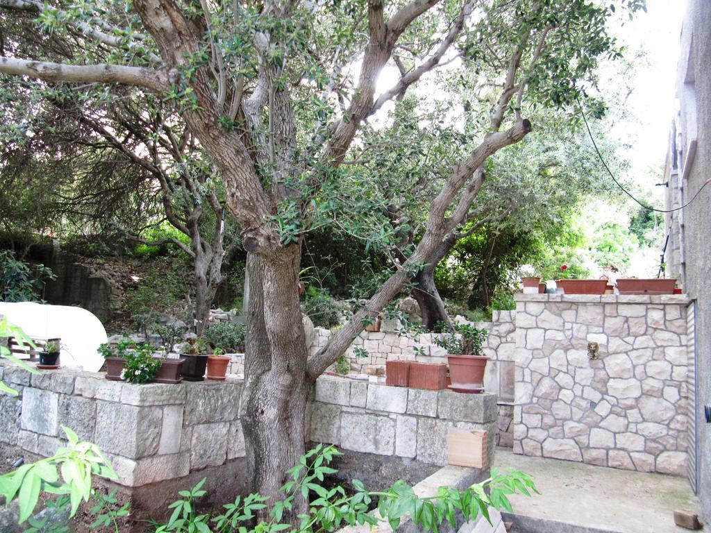 Apartmans And Rooms Dunjini Dvori Korčula Екстериор снимка